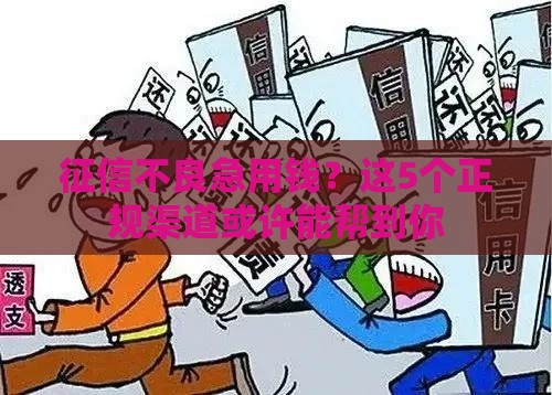 征信不良急用钱？这5个正规渠道或许能帮到你