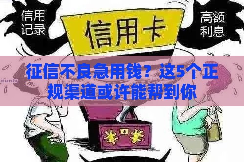 征信不良急用钱？这5个正规渠道或许能帮到你