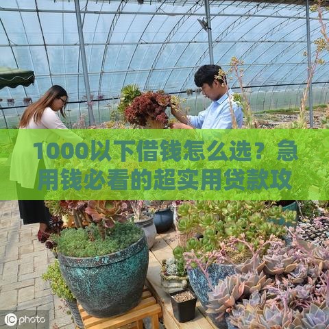 1000以下借钱怎么选？急用钱必看的超实用贷款攻略！