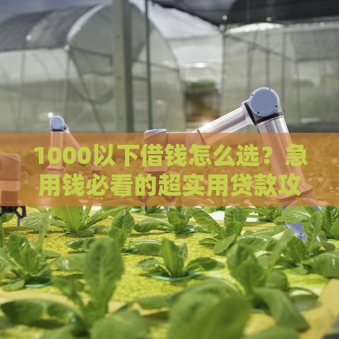1000以下借钱怎么选？急用钱必看的超实用贷款攻略！