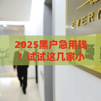 2025黑户急用钱？试试这几家小额贷款新渠道！