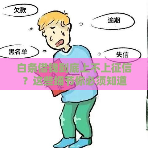 白条借钱到底上不上征信？这些细节你必须知道