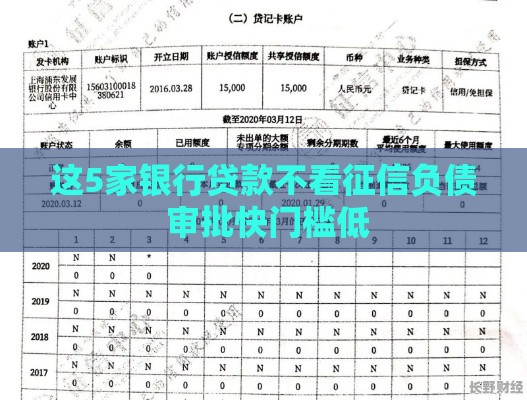 这5家银行贷款不看征信负债 审批快门槛低