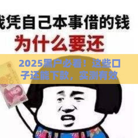 2025黑户必看！这些口子还能下款，实测有效