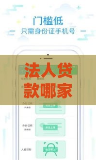 法人贷款哪家额度高？这5个口子审批快、放款稳！