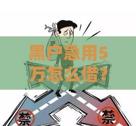 黑户急用5万怎么借？揭秘3个真实秒下款渠道，这些坑千万别踩！