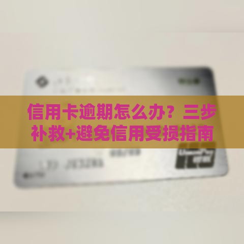 信用卡逾期怎么办？三步补救+避免信用受损指南