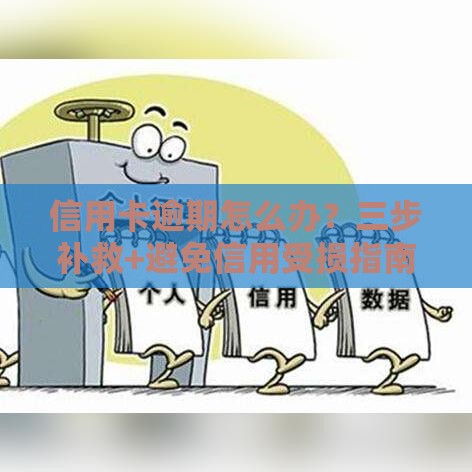 信用卡逾期怎么办？三步补救+避免信用受损指南