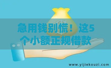 急用钱别慌！这5个小额正规借款平台通过率高新手也能下款