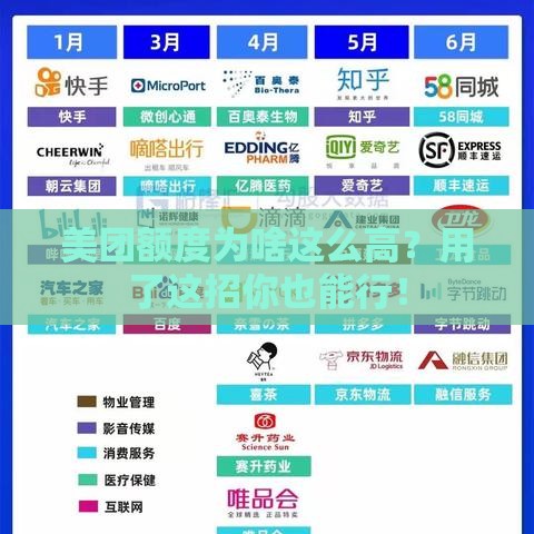 美团额度为啥这么高？用了这招你也能行！