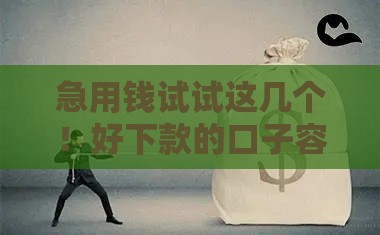 急用钱试试这几个！好下款的口子容易通过