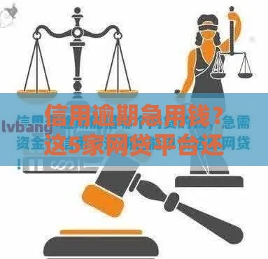 信用逾期急用钱？这5家网贷平台还能借到！真实推荐