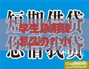 学生急用钱怎么办？小额贷款快速下款攻略来啦！