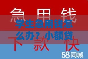 学生急用钱怎么办？小额贷款快速下款攻略来啦！