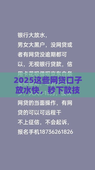 2025这些网贷口子放水快，秒下款技巧曝光