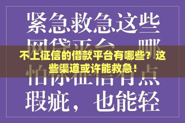不上征信的借款平台有哪些？这些渠道或许能救急！
