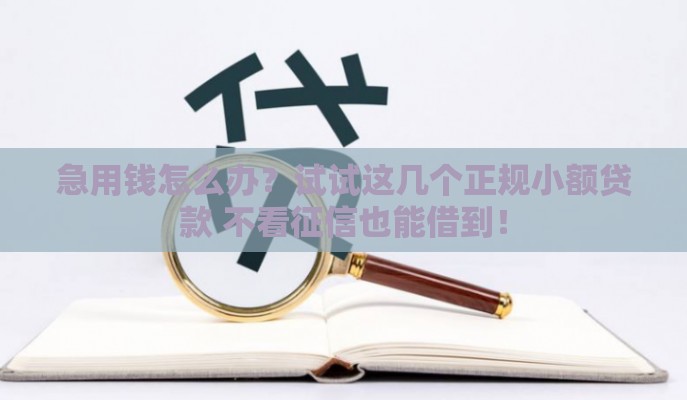 急用钱怎么办？试试这几个正规小额贷款 不看征信也能借到！