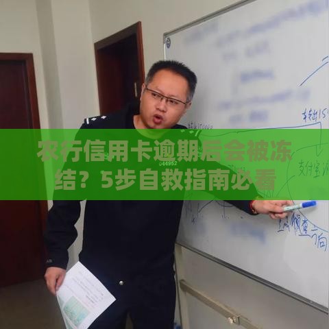 农行信用卡逾期后会被冻结？5步自救指南必看