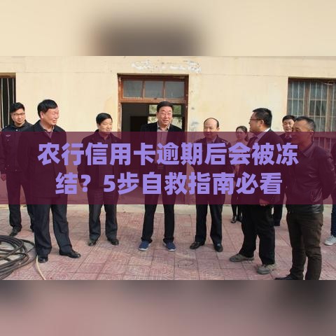 农行信用卡逾期后会被冻结？5步自救指南必看
