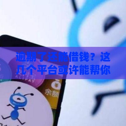 逾期了还能借钱？这几个平台或许能帮你解燃眉之急！