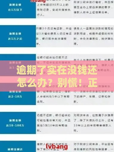 逾期了实在没钱还怎么办？别慌！正确处理攻略来了