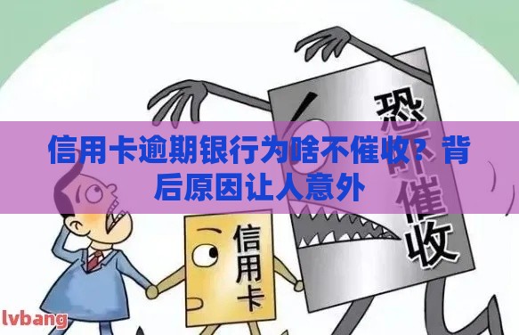 信用卡逾期银行为啥不催收？背后原因让人意外