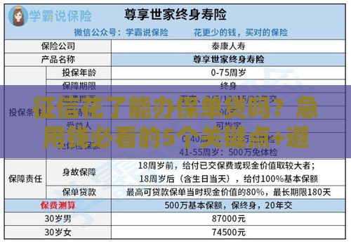 征信花了能办保单贷吗？急用钱必看的5个关键点+避坑指南