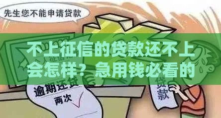 不上征信的贷款还不上会怎样？急用钱必看的避坑指南