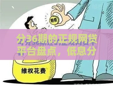分36期的正规网贷平台盘点，低息分期更省心！