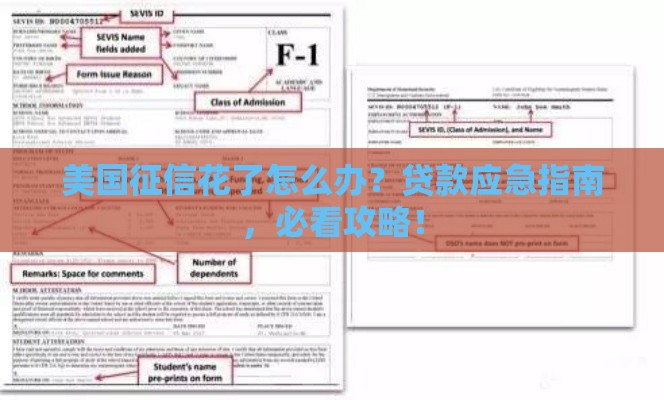 美国征信花了怎么办？贷款应急指南，必看攻略！