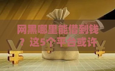 网黑哪里能借到钱？这5个平台或许能帮到你