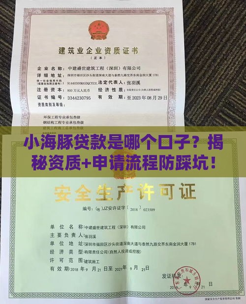 小海豚贷款是哪个口子？揭秘资质+申请流程防踩坑！