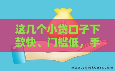 这几个小贷口子下款快、门槛低，手把手教你避坑