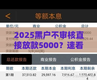 2025黑户不审核直接放款5000？速看真相，避坑必读！
