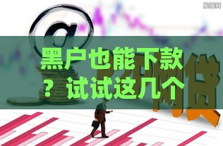 黑户也能下款？试试这几个靠谱口子！