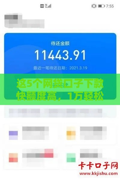 这5个网贷口子下款快额度高，1万轻松到手