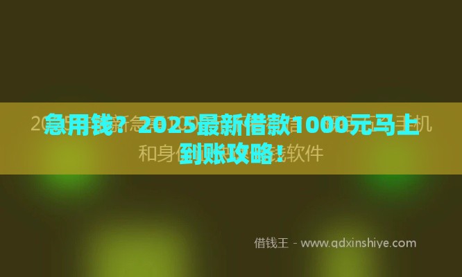 急用钱？2025最新借款1000元马上到账攻略！