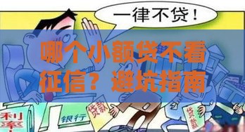 哪个小额贷不看征信？避坑指南来了