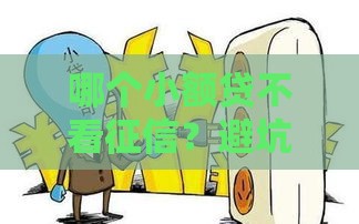 哪个小额贷不看征信？避坑指南来了