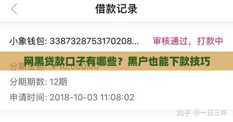 网黑贷款口子有哪些？黑户也能下款技巧