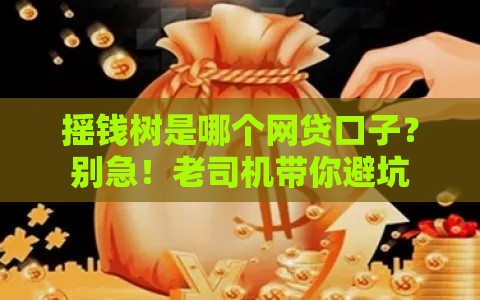 摇钱树是哪个网贷口子？别急！老司机带你避坑