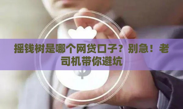 摇钱树是哪个网贷口子？别急！老司机带你避坑