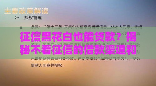 征信黑花白也能贷款？揭秘不看征信的借款渠道和避坑指南