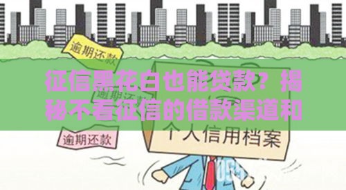 征信黑花白也能贷款？揭秘不看征信的借款渠道和避坑指南