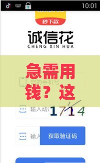 急需用钱？这5个靠谱借款平台帮你解决燃眉之急！