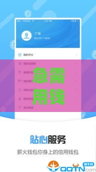 急需用钱？这5个平台下款最快！实测推荐+避坑指南