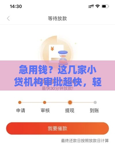 急用钱?这几家小贷机构审批超快,轻松到账! 急用钱?这几家小贷机构审批超快,轻松到账!