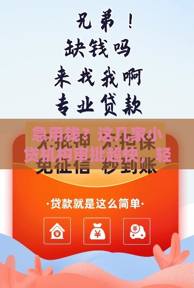 急用钱?这几家小贷机构审批超快,轻松到账! 急用钱?这几家小贷机构审批超快,轻松到账!