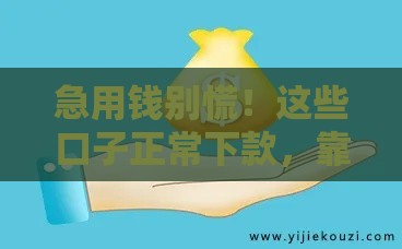 急用钱别慌！这些口子正常下款，靠谱平台实测推荐