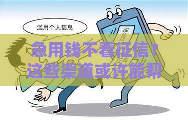 急用钱不看征信？这些渠道或许能帮你应急！